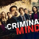 Where to Watch Criminal Minds?