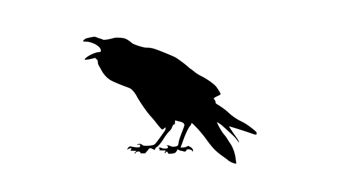 Pourquoi Hulu et Peacock coexistent-ils ?