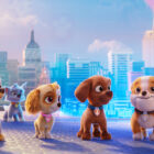 PAW Patrol: The Movie