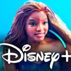 Little Mermaid Halle Bailey Ariel