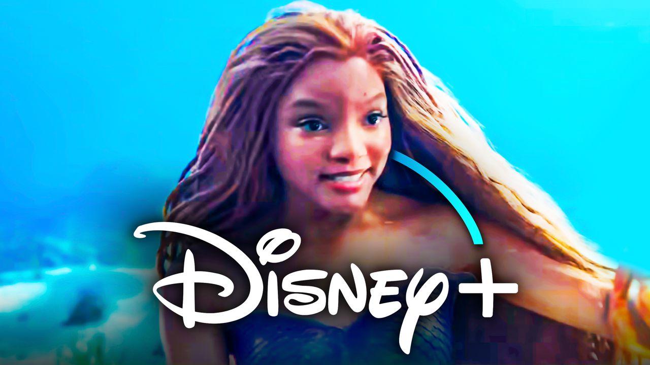 Sortie de La Petite Sirène 2023 sur Disney+ : Découvrez la nouvelle bande-annonce