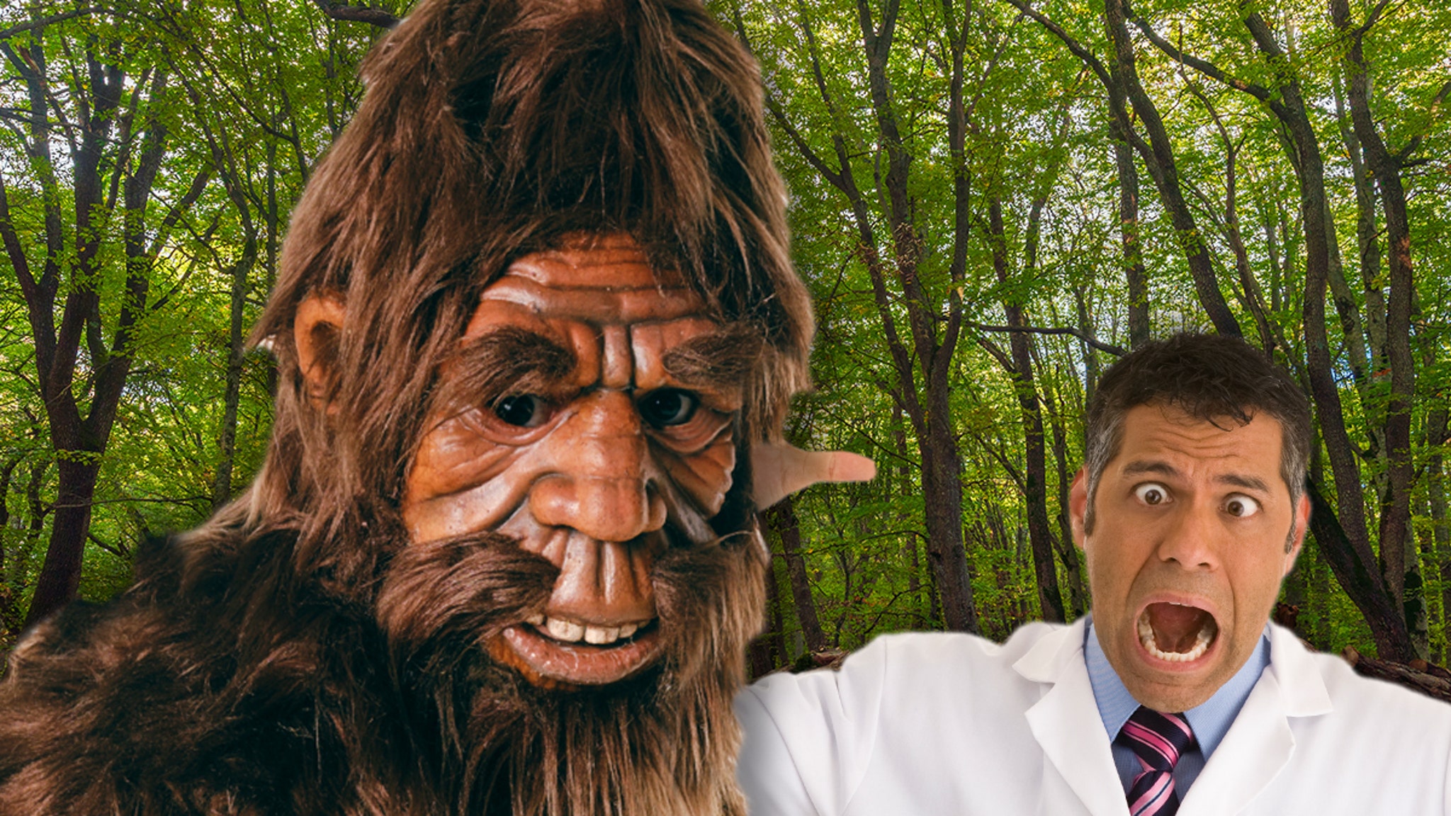 Appel des policiers pour enquêter sur les observations de Bigfoot par des scientifiques et anthropologues