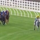 Horse race