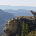evolution experts review this 'hugely entertaining' Netflix docuseries