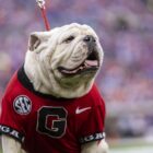 What time, TV channel is Georgia vs Vanderbilt football today? Free live stream, spread, odds (10/14/23)