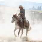 Yellowstone TV show on Paramount Network: canceled or renewed?