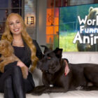 World’s Funniest Animals TV show on The CW: canceled or renewed for season 4?