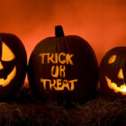 Best Movies to Watch This Holiday Season – The State Times