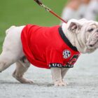 What time, TV channel is Georgia Bulldogs vs Florida Gators football today? Free live stream, spread, odds (10/28/23)