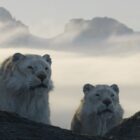 A still shot from the new Netflix show 'Life on Our Planet.'
