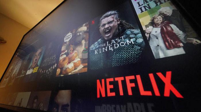 Netflix dévoile les séries supprimées en novembre : Découvrez lesquelles