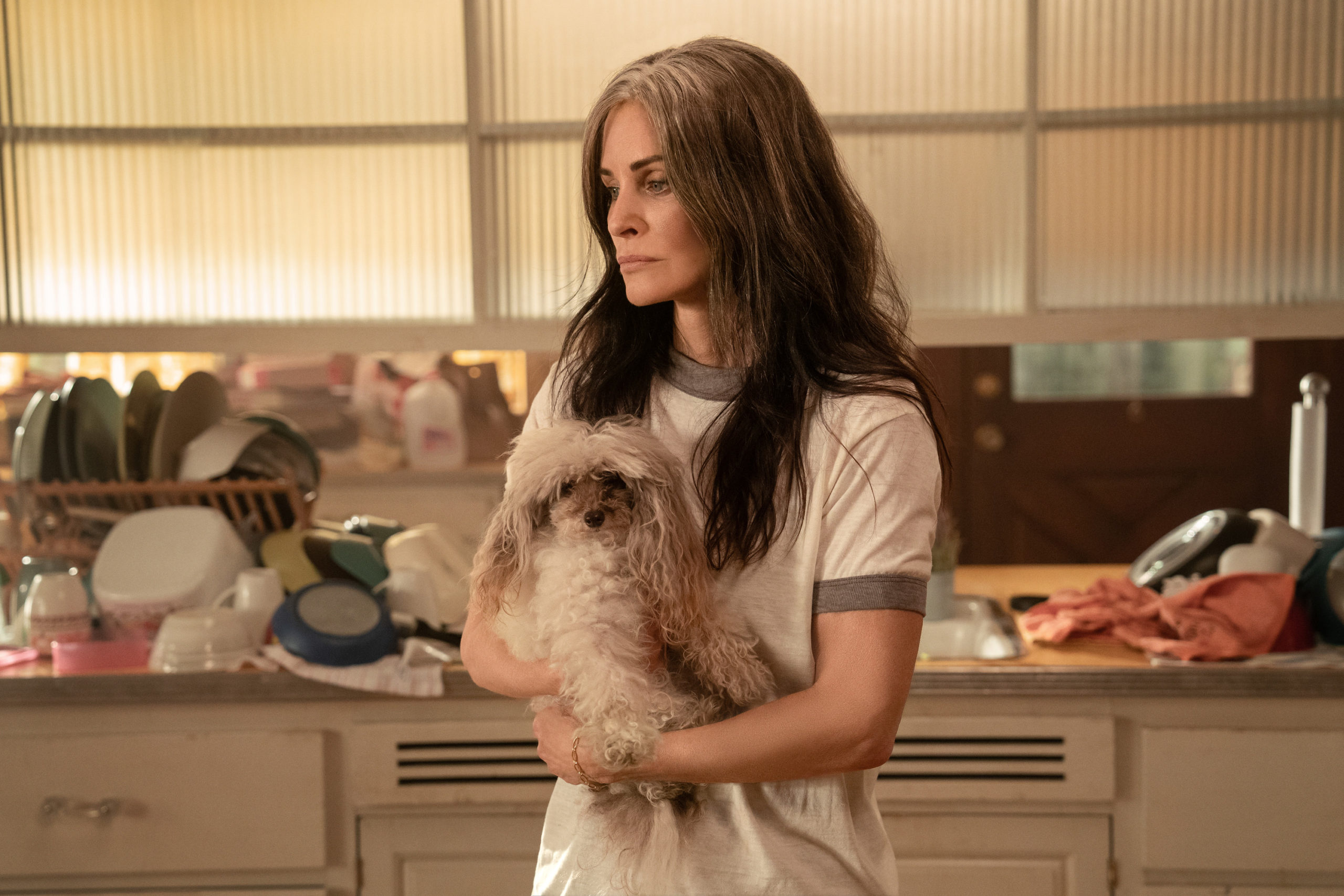 Saison 2 de Shining Vale sur Starz : Votes des téléspectateurs – séries annulées et renouvelées, audiences.