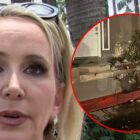 'RHOC' Shannon Beador Getting Treatment After DUI Arrest