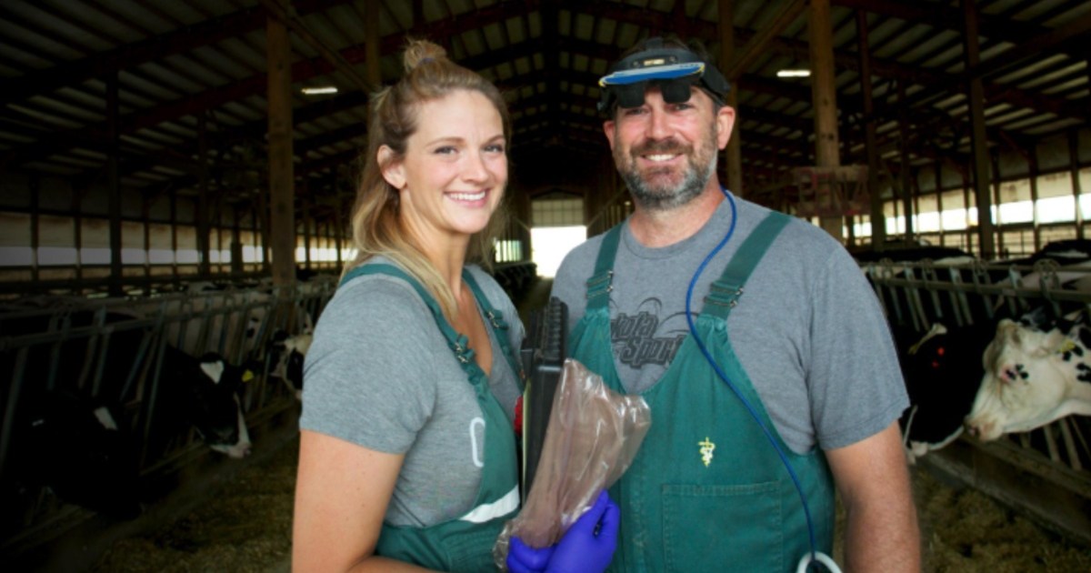 Sortie Saison 5 Episode 3 de Heartland Docs, DVM sur Disney Plus