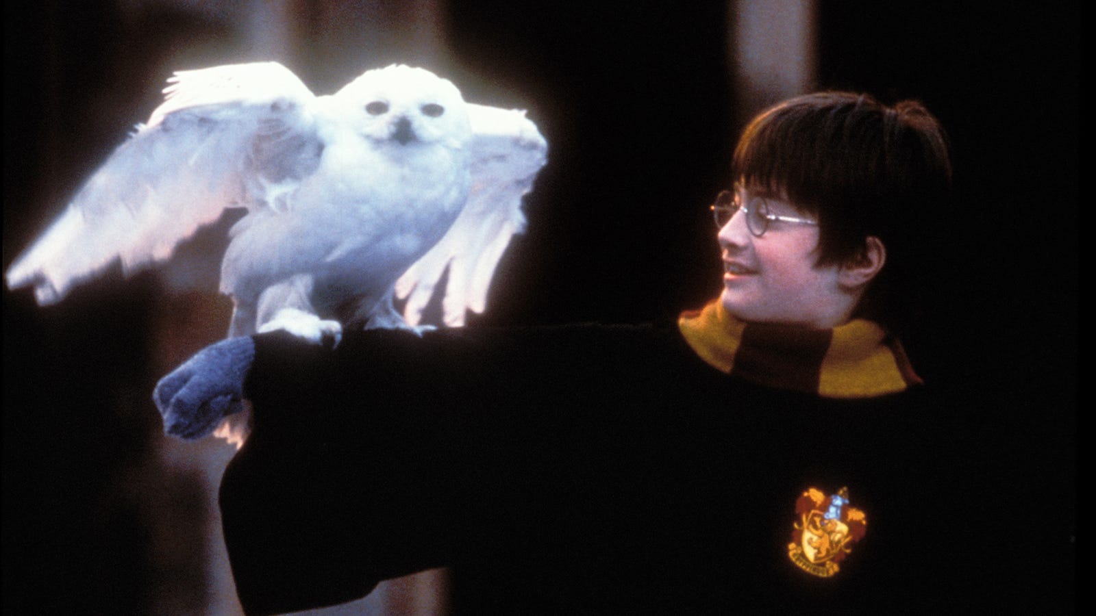 Sortie imminente de “Harry Potter” sur Max: date de sortie et infos essentielles