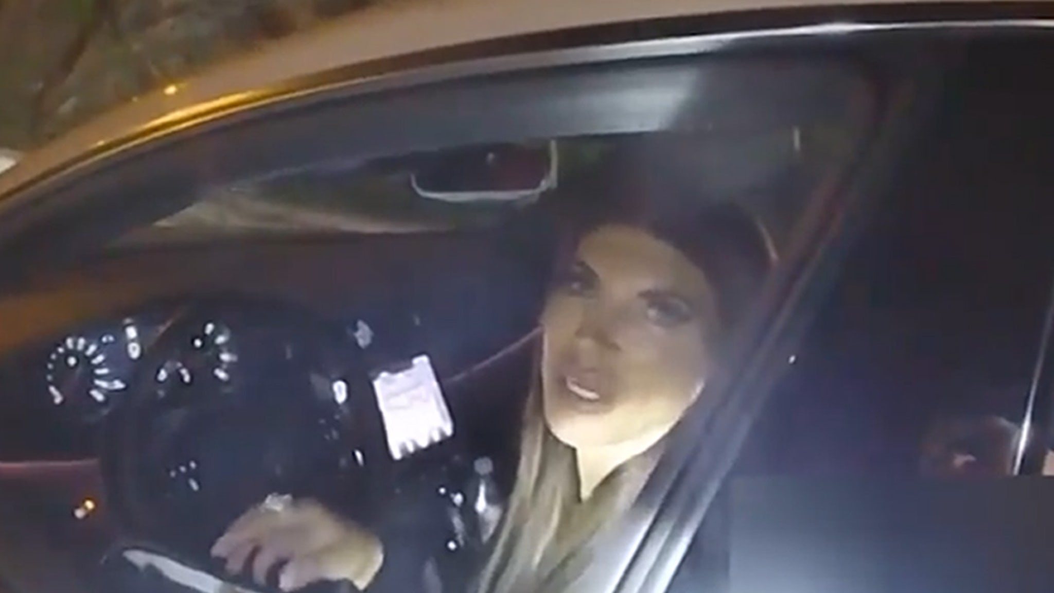 Teresa Giudice propose des cartes de visite de son entreprise familiale à un policier lors d’un contrôle routier.