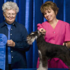 Owner, judge and dog with first place ribbon