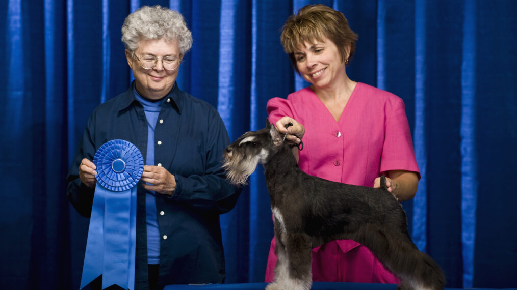 Date du National Dog Show 2023 ?