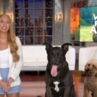 World’s Funniest Animals TV show on The CW: canceled or renewed for season 5?