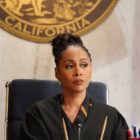 Justice or a Vigalante? - All Rise