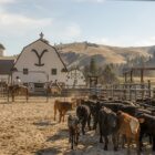 Yellowstone TV show on Paramount Network: canceled or renewed?