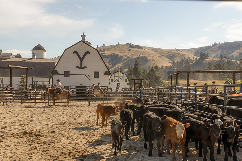 Dernières épisodes de Yellowstone en mai, révélations sur le spin-off – séries TV annulées et renouvelées, audiences.
