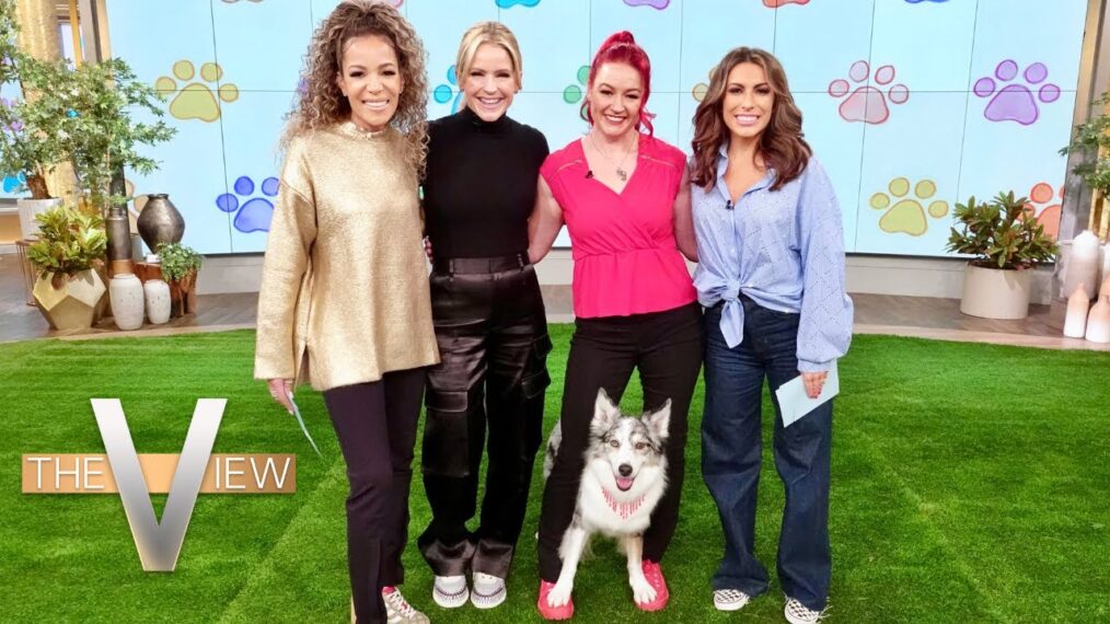 Duo de danseurs de chiens en action sur ‘The View’