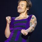Harry Styles Fans Are in Mourning After Singer Gets Buzzcut