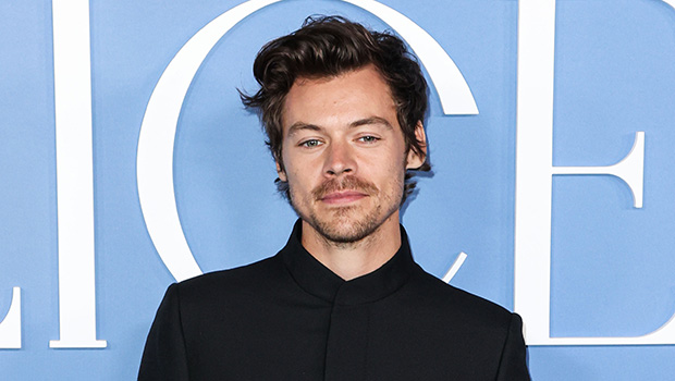 Harry Styles dévoile sa tête rasée lors d’une sortie avec Taylor Russell – Hollywood Life