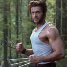 Hugh Jackman as Wolverine