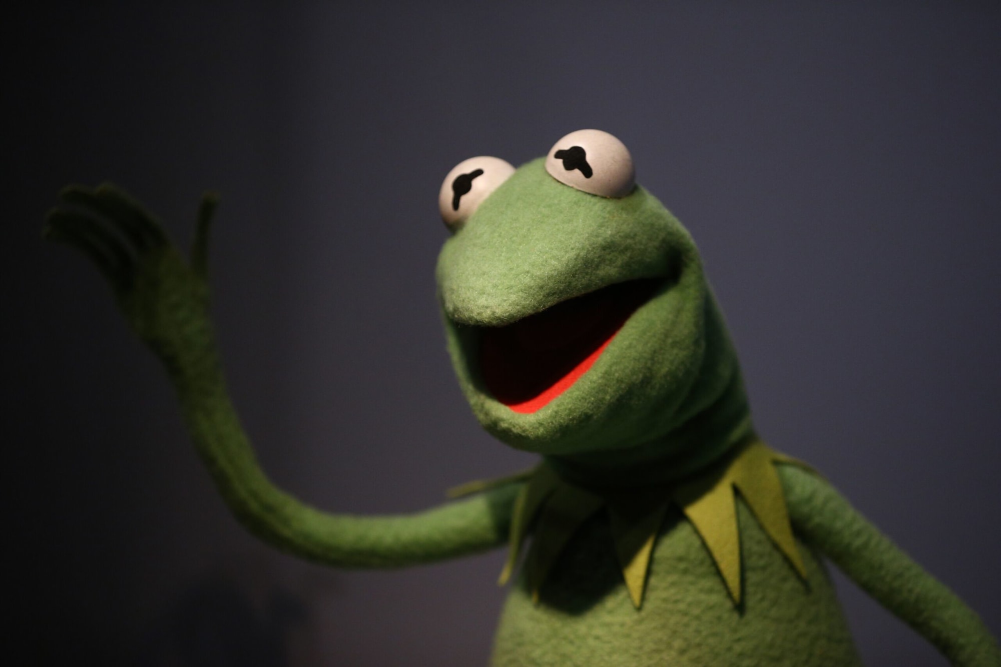 Le Noël des Muppets 2023 : Disponible sur Amazon ?