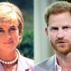Prince Harry betrays Princess Diana by selling ‘his silence’ to Netflix