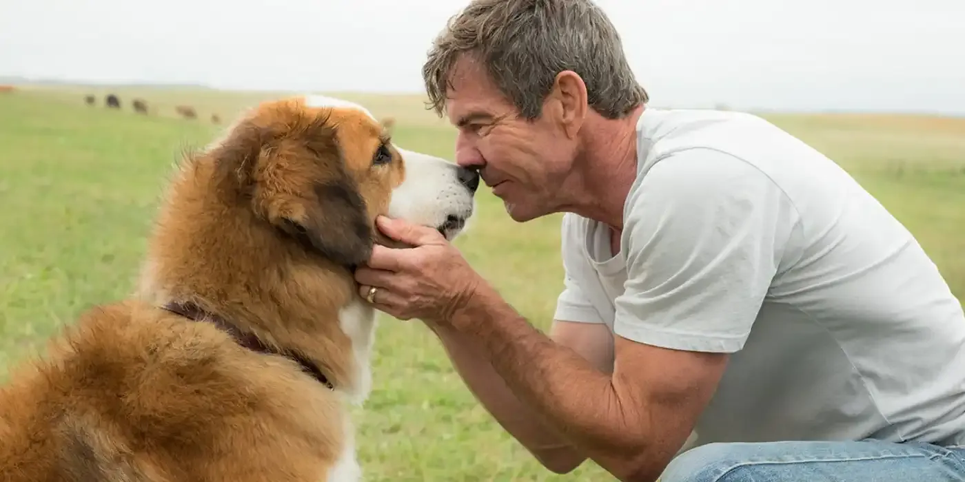 Les 10 meilleurs films de Dennis Quaid selon IMDb