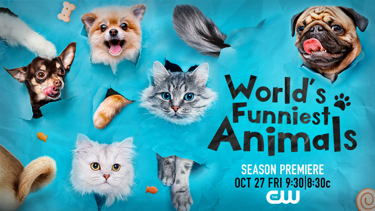 Les animaux les plus drôles du monde: Saison quatre – séries télé annulées et renouvelées, cotes