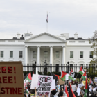 Pro-Palestine Protesters Flood D.C., Gather Outside White House