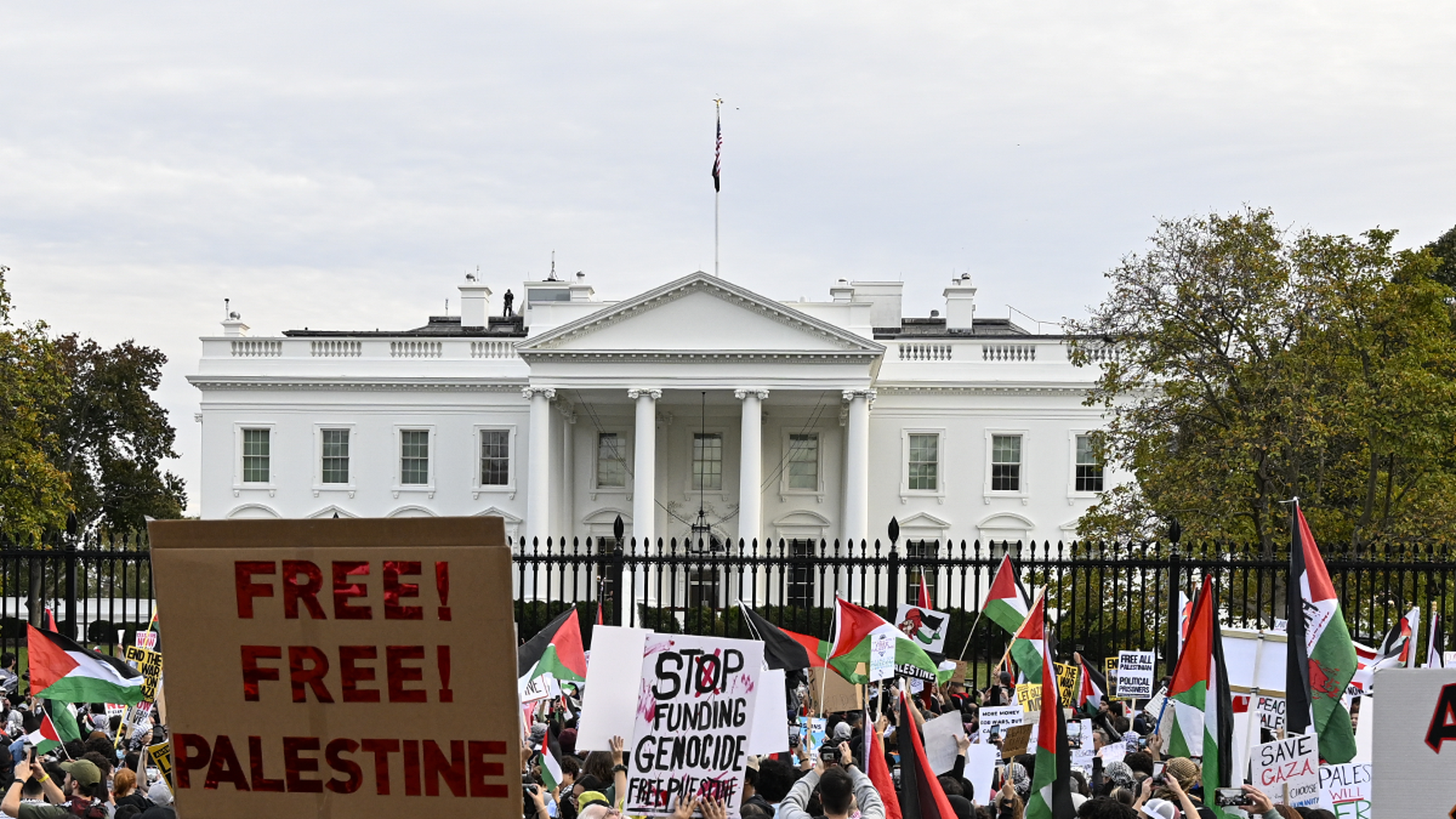 Manifestation pro-Palestine : foule à Washington, rassemblement devant Maison Blanche