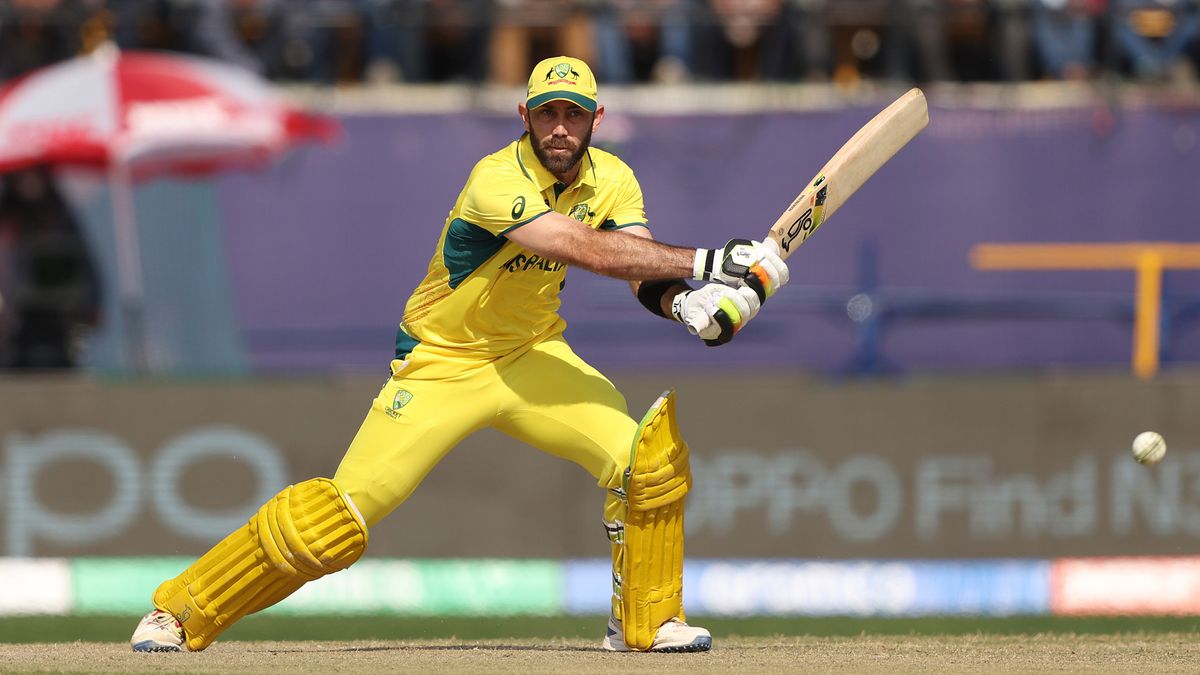 Regarder en direct la finale de la Coupe du Monde de Cricket entre l’Inde et l’Australie, les Australiens doivent marquer 241 points pour gagner