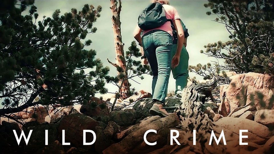 Saison 3 renouvelée pour la série de crime sur Hulu