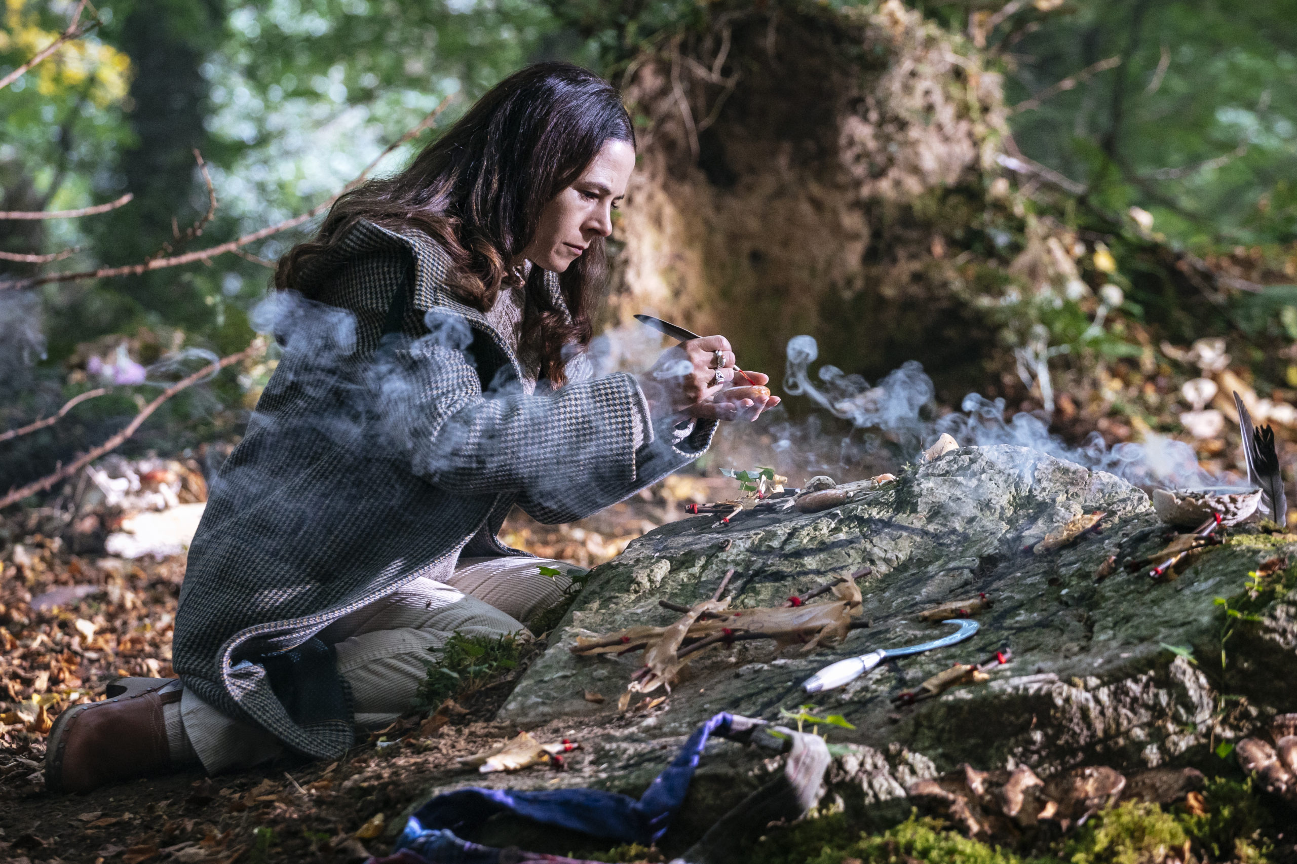 « Sanctuary : La date de première et les photos de la série surnaturelle révélées par Sundance Now – séries TV annulées + renouvelées, notes »