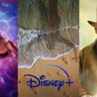 Every Movie Coming to Disney+ in December 2023
