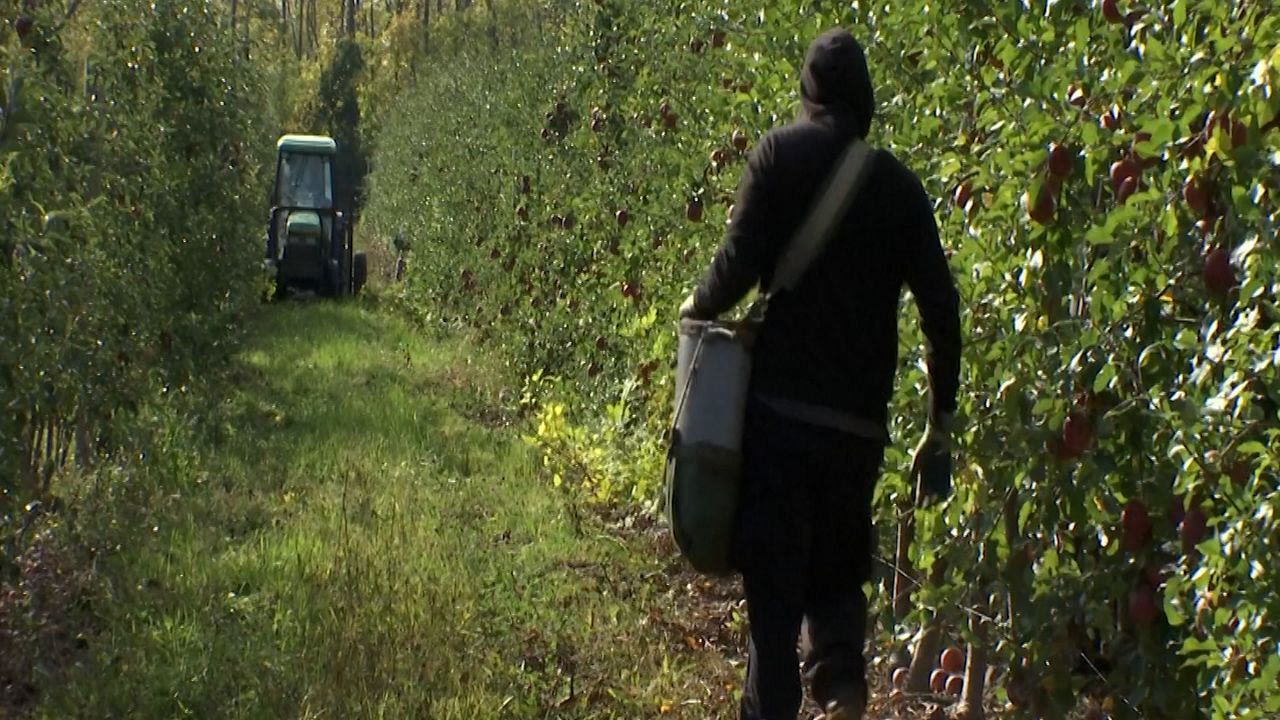 Une application développée par un producteur de pommes UNY pour optimiser l’efficacité agricole