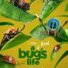 A Real Bug's Life | On Disney+