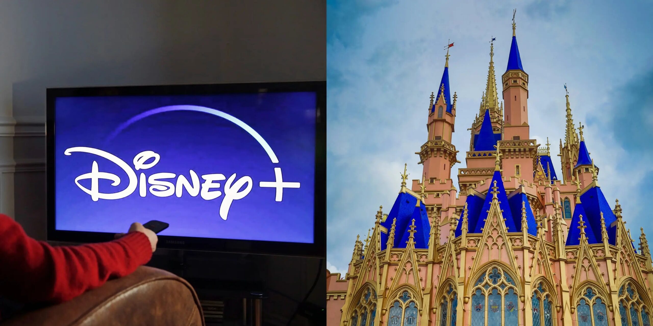 Achat inattendu : des grands-parents offrent Disney+ au lieu d’un voyage au parc d’attractions