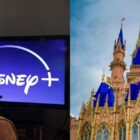 Family Buys $10K Disney+ Gift Cards Thinking They Could Be Used at Theme Parks