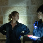 A Wild Ghost Chase - NCIS: Sydney
