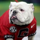 What time, TV channel is Georgia vs Alabama football today? Free live stream, SEC Championship game spread, odds (12/2/2023)