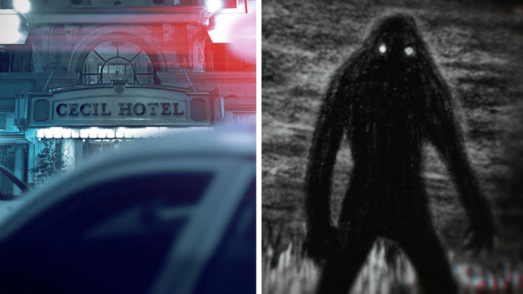 Disparition au Cecil Hotel : enquête et plus