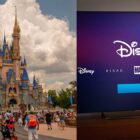 Family buys $10,000 worth of Disney+ gift cards thinking they were for Disneyland • PhilSTAR Life