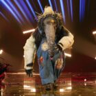 Anteater in 