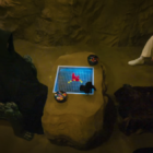 Netflix and the Global Rise of K-Reality